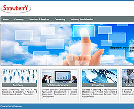 Strawberryinfotech website is responsive in wordpress Delhi