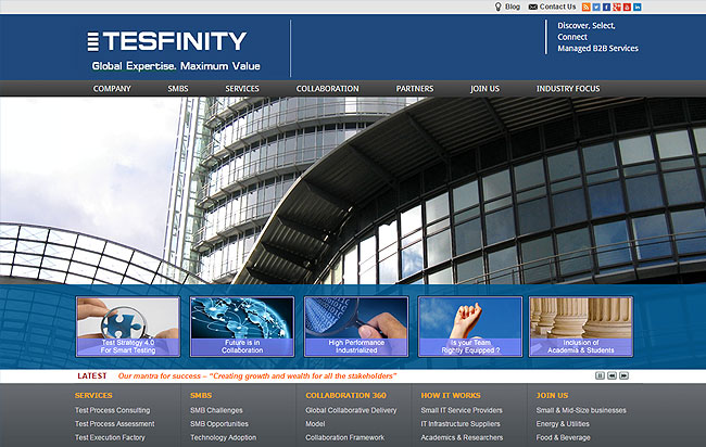 tesfinity is an IT company which provides software testing, Strategic IT Consulting, and Managed IT B2B services